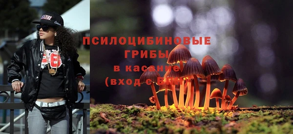 мет Балахна