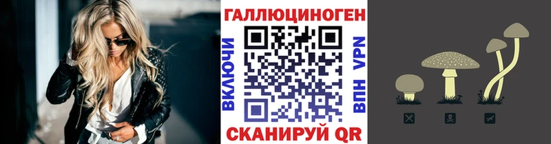 ОМГ ОМГ ссылки  дарнет шоп  Биробиджан  Псилоцибиновые грибы мухоморы 